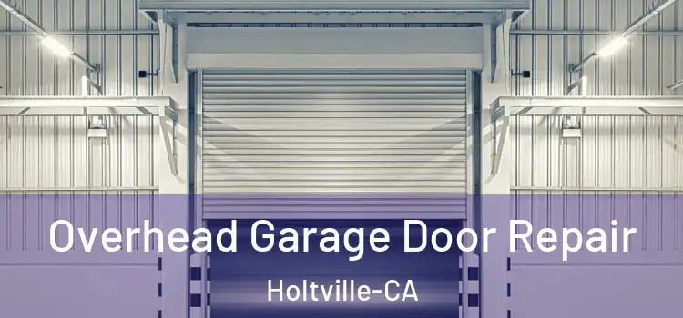  Overhead Garage Door Repair Holtville-CA