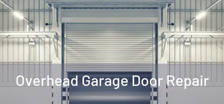  Overhead Garage Door Repair 